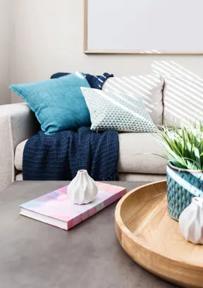 Chair & Sofa Cushions