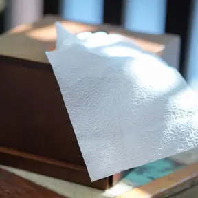 Facial Tissue Holders