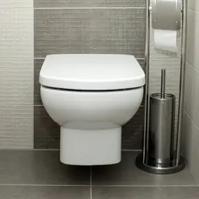 Toilet Brushes & Holders