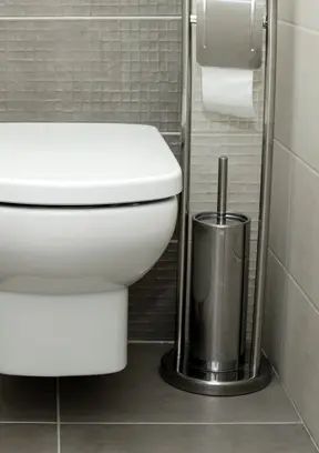 Toilet Brushes & Holders