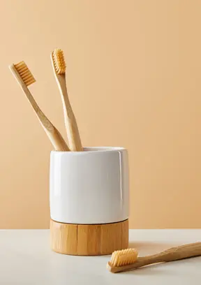 Toothbrush Holders