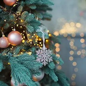 Seasonal Decorations