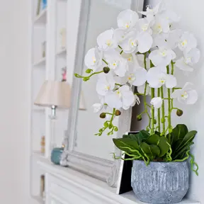 Artificial Plants