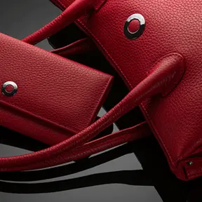 Handbag & Wallet Accessories