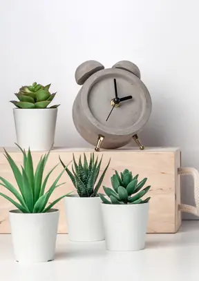 Desk & Shelf Clocks