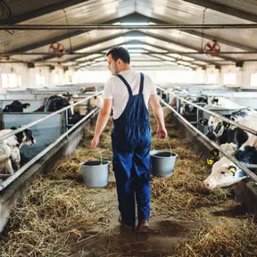 Animal Husbandry