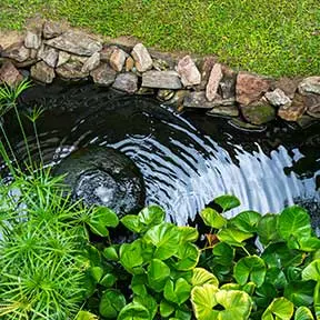 Fountains & Ponds