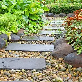Garden & Stepping Stones