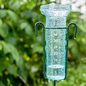 Rain Gauges