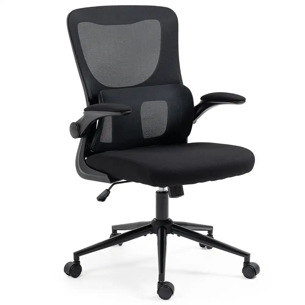 Fortia Ergonomic Office Desk Chair, 10 Position Lumbar Support, Mesh Fabric, Black