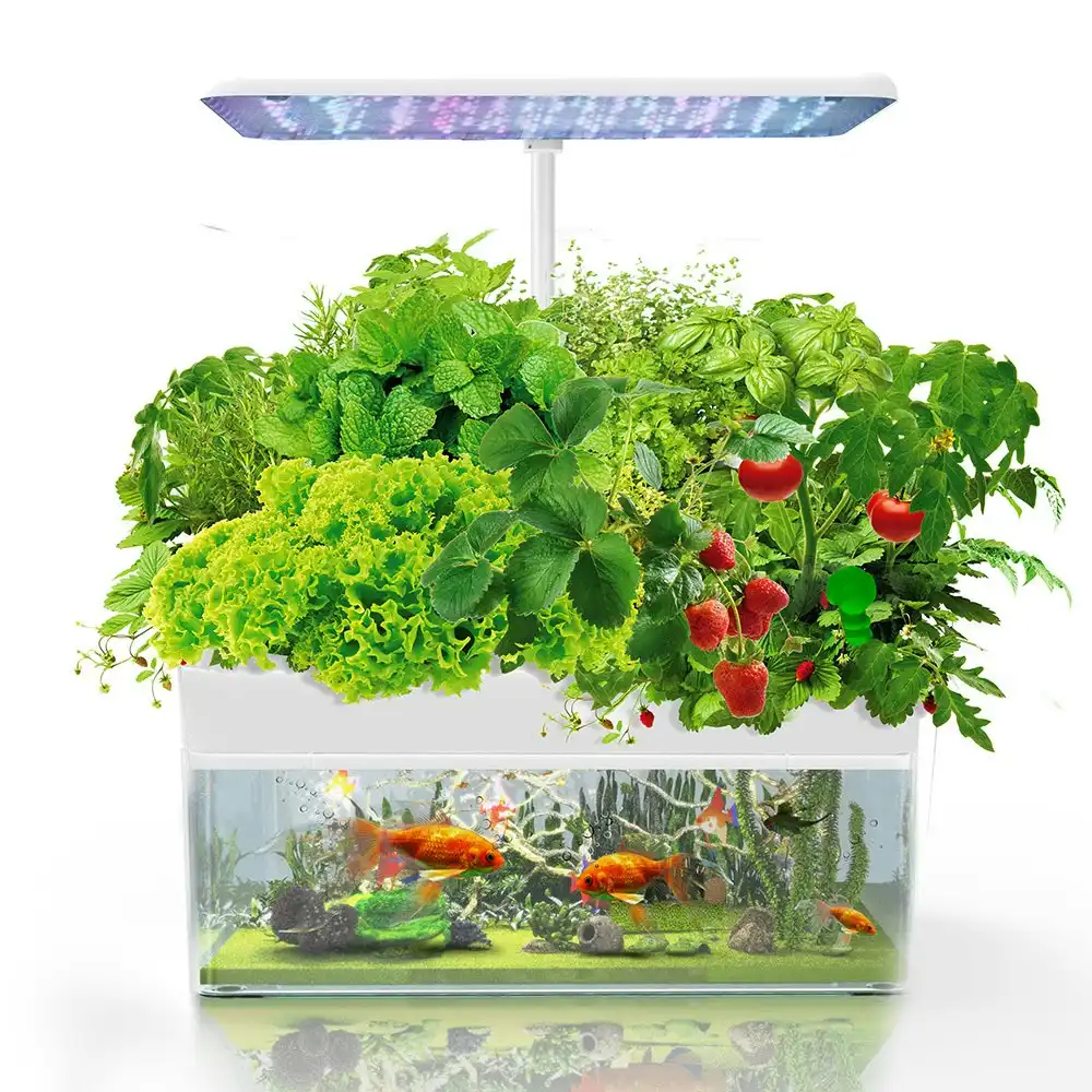 PlantCraft 12 Pod Indoor Hydroponic Growing System with Fish Tank
