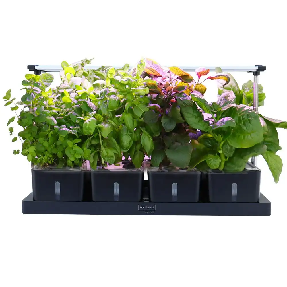 PlantCraft 20 Pod Indoor Hydroponic Growing System, with Water Level Window & Pump