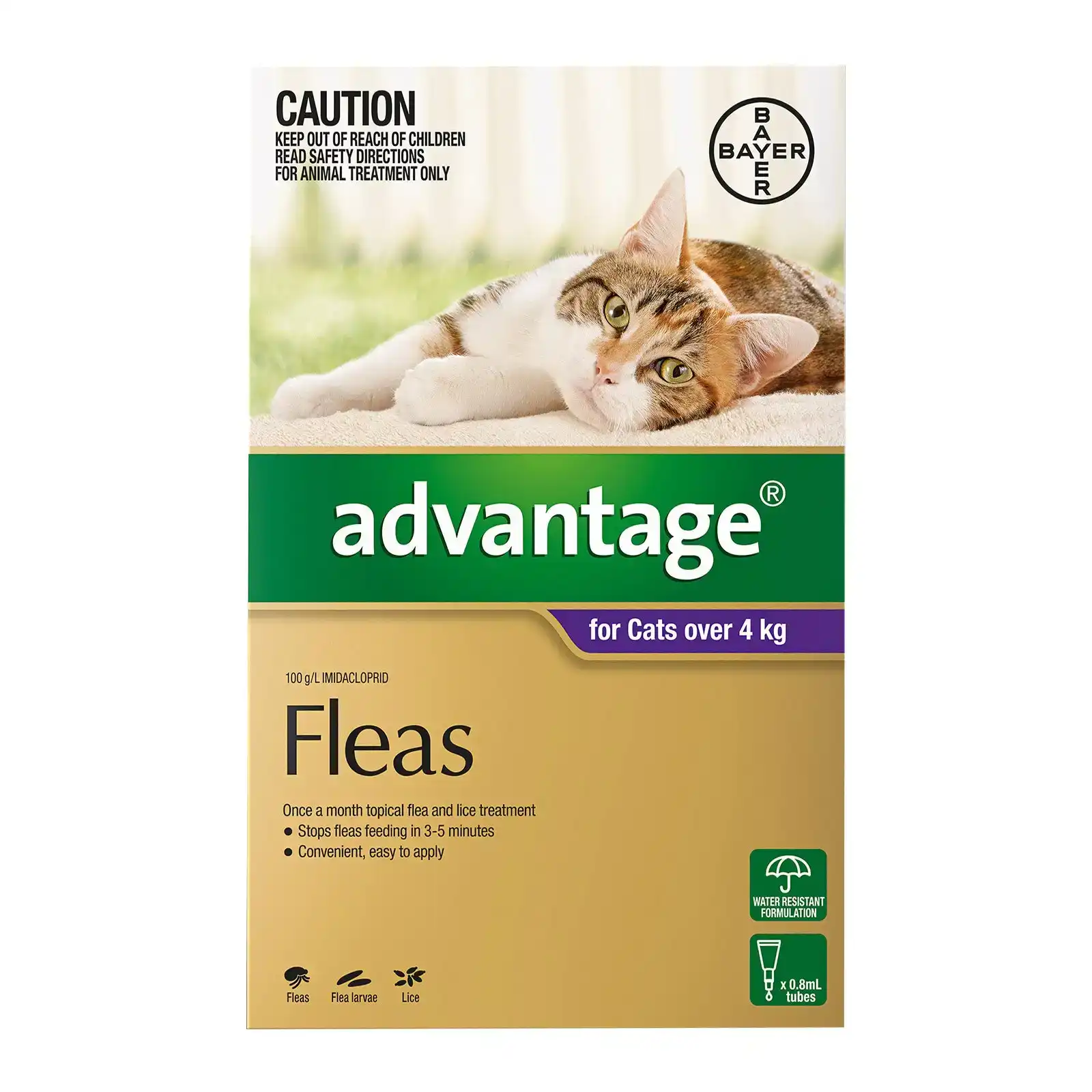 Advantage For Cats Over 4Kg (Purple) 12 Pack
