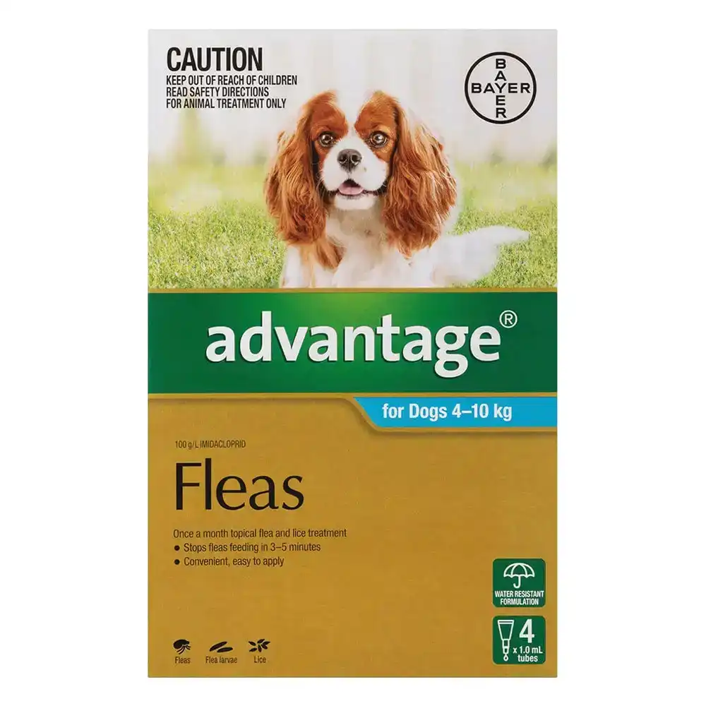 Advantage For Medium Dogs 4 To 10Kg (Aqua) 12 Pack