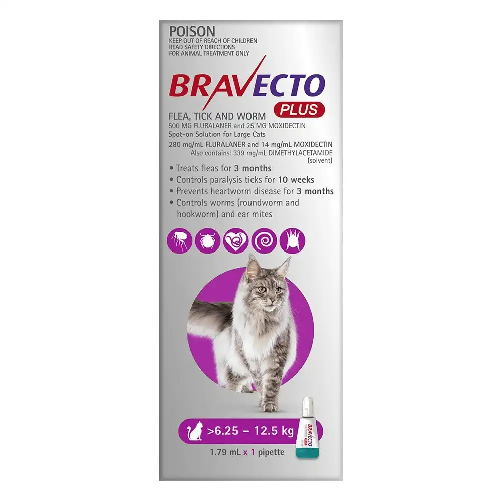 Bravecto Plus For Cats 6.25-12.5 Kg (Purple) 1 Pipette