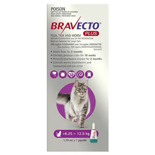 Bravecto Plus For Cats 6.25-12.5 Kg (Purple) 2 Pipettes