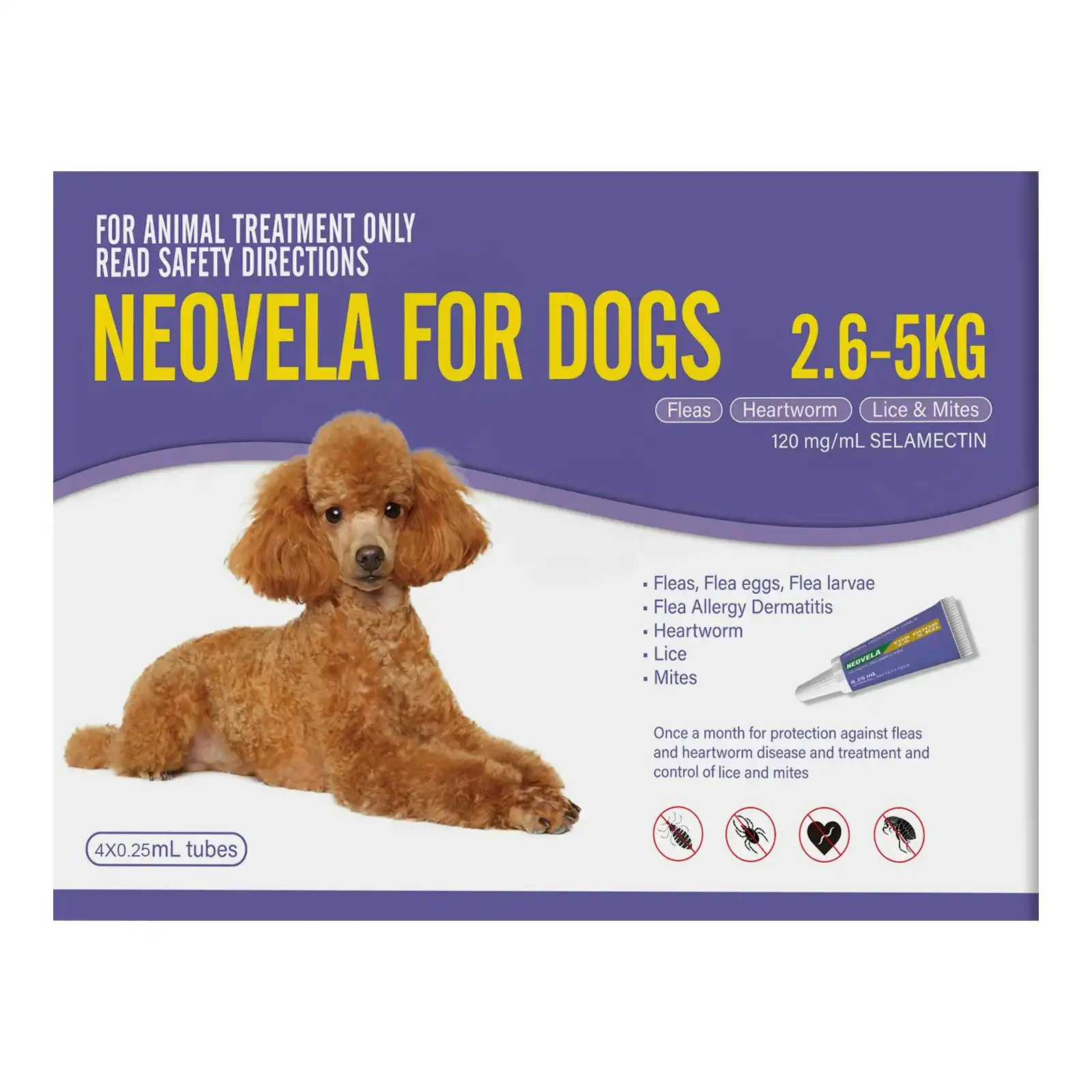 Neovela for Very Small Dogs 2.6 to 5 Kg (PURPLE) 4 Pack