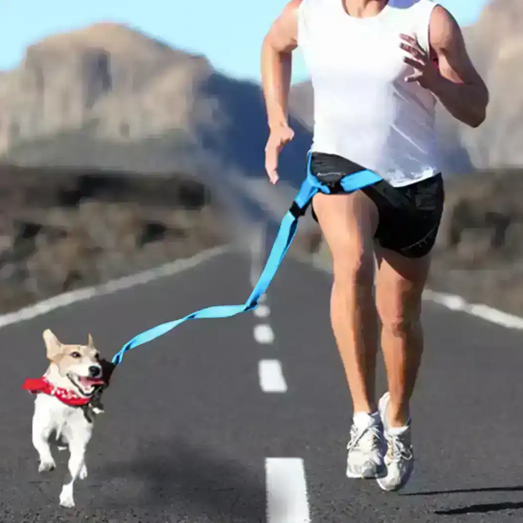 Adjustable Dog Hands Free Leash Waist Belt  Jogging Walking Running Blue