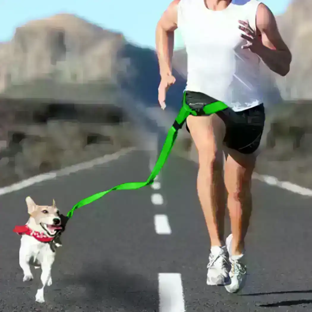 Adjustable Dog Hands Free Leash Waist Belt  Jogging Walking Running Green
