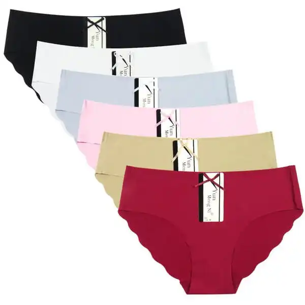 6 x Womens Sheer Nylon / Cotton Briefs - Assorted Colours Underwear Undies 89099