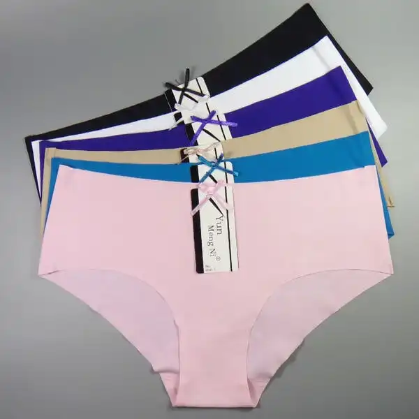 6 x Womens Sheer Nylon / Cotton Briefs - Assorted Colours Underwear Undies 89081