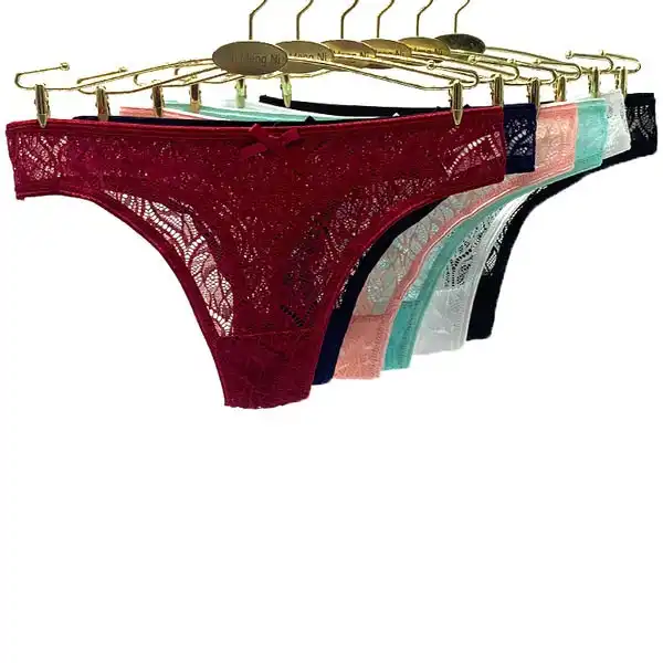 6 x Womens Sheer Nylon Briefs - Assorted Colours Underwear Undies 87416