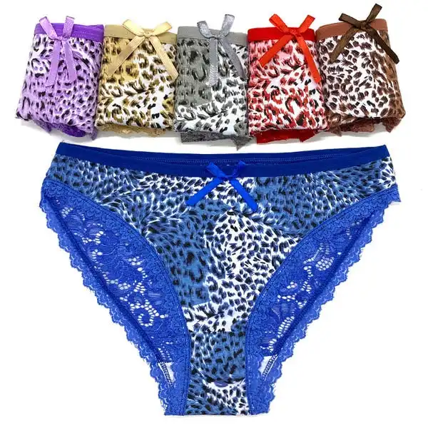 6 x Womens Sheer Nylon / Cotton Briefs - Assorted Colours Underwear Undies 89485