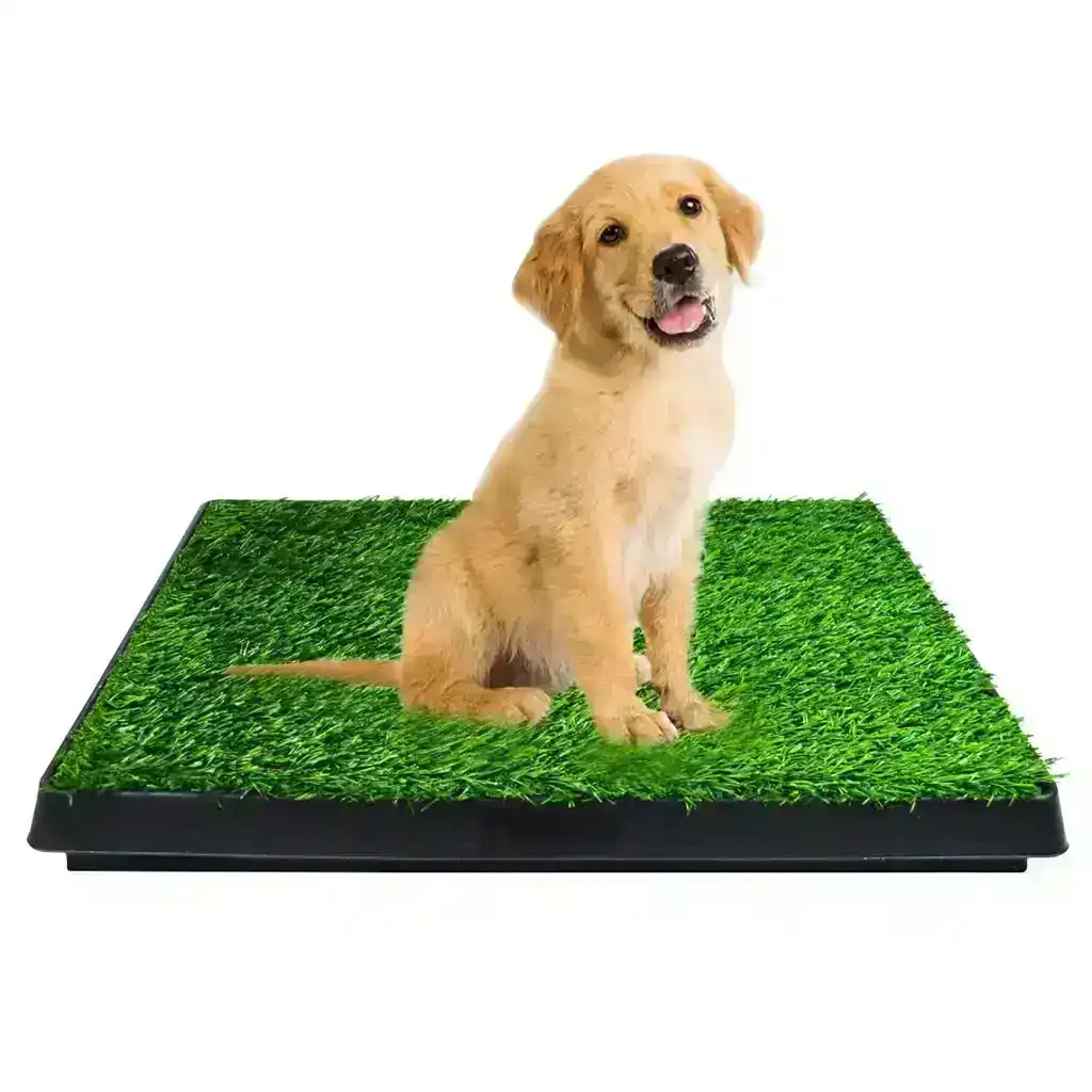 Floofi Pet Grass Training Potty Set with 2 Piece Grass Mat