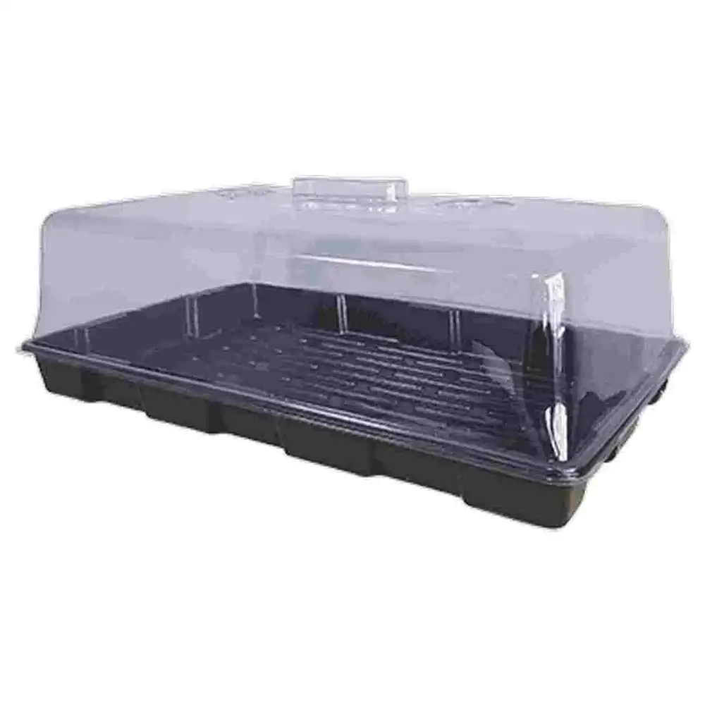 Jumbo 36x55cm Propagation Transparent Lid for Container Clone Tray Grow Cloner