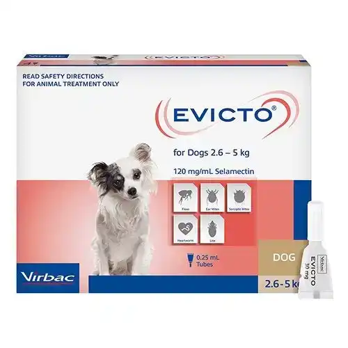 Evicto Spot On for Very Small Dogs 2.6 to 5 Kg (BROWN) 4 Pack