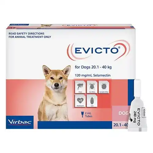 Evicto Spot On for Large Dogs 20 to 40 Kg (PINK) 4 Pack