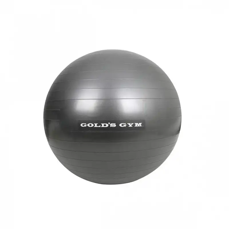 Gold's Gym 65cm Anti-Burst Exercise Ball Fitness Home/Yoga/Pilates Workout Grey