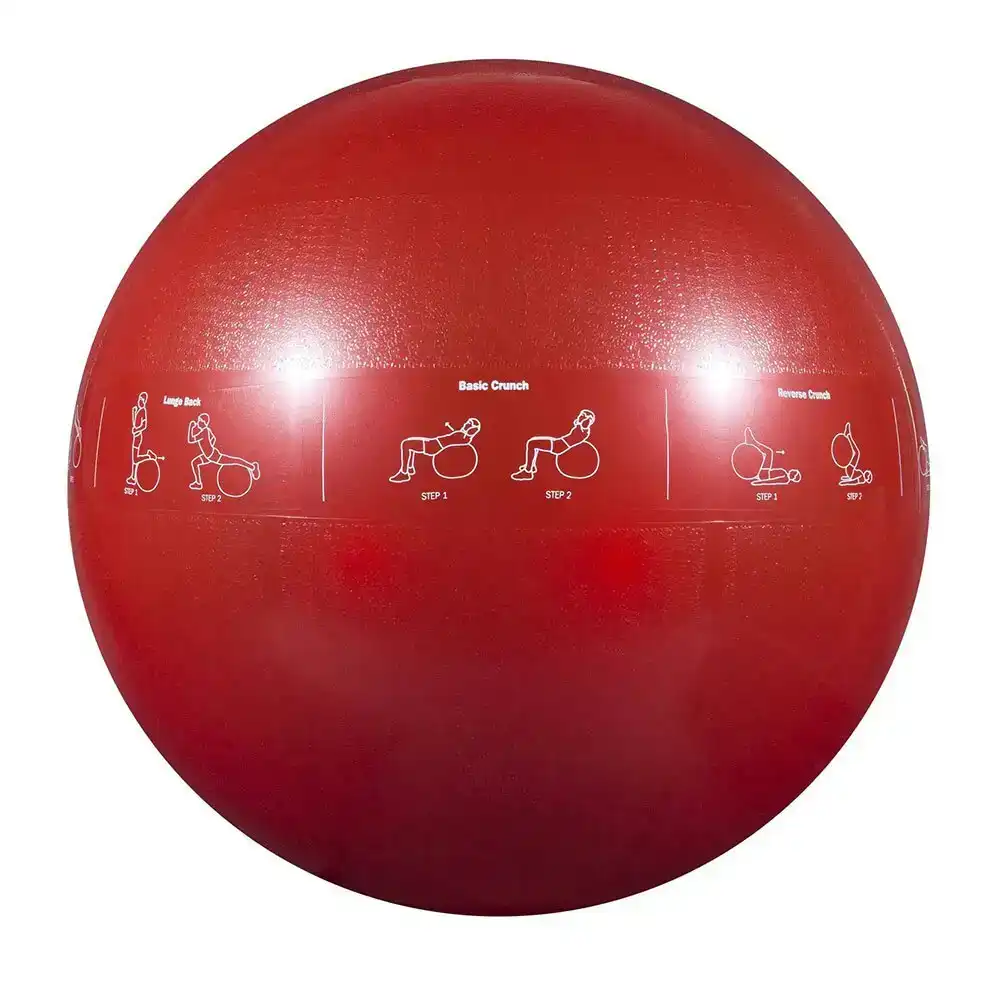 Gofit 65cm Proball Sports Gym Exercise Fitness/Yoga Training Stability Ball Red