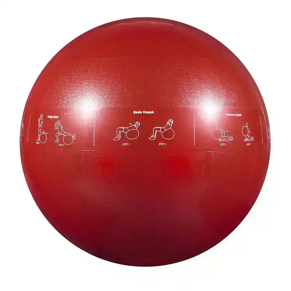 Gofit 65cm Proball Sports Gym Exercise Fitness/Yoga Training Stability Ball Red