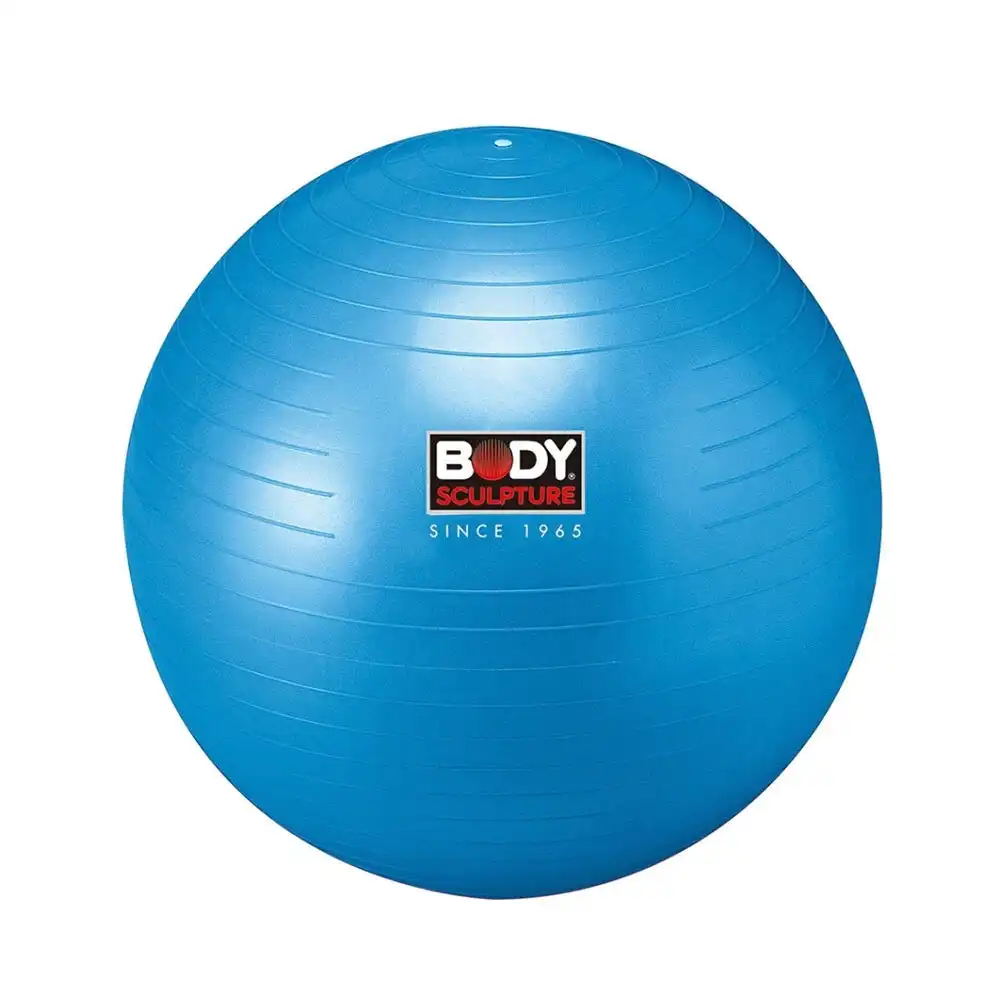 Body Sculpture Gym 65cm Ball Anti-Burst Fitness Training/Workout Sports Exercise