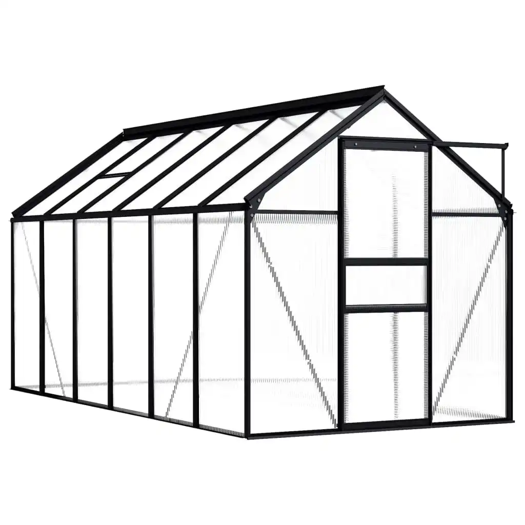 NNEVL Greenhouse Anthracite Aluminium 7.03 m²
