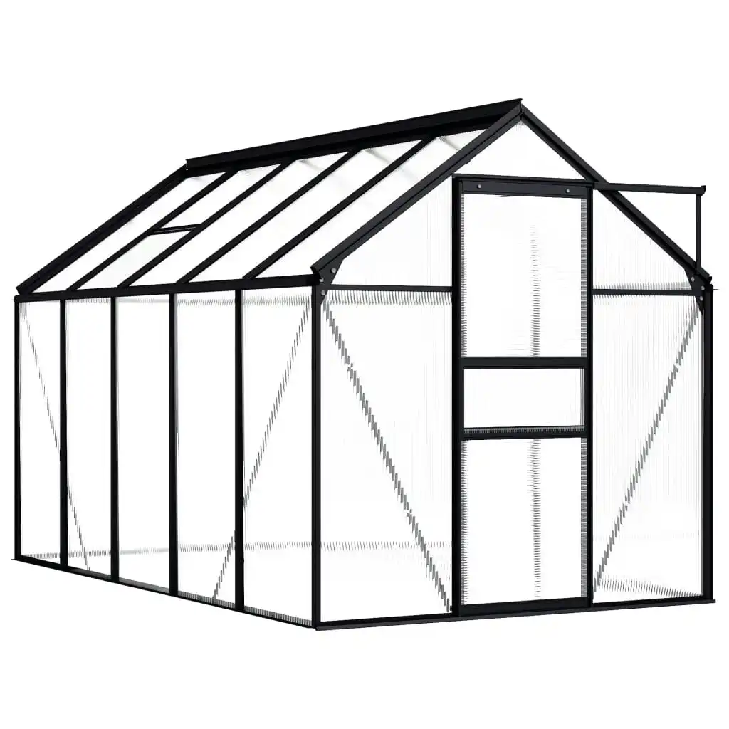NNEVL Greenhouse Anthracite Aluminium 5.89 m²
