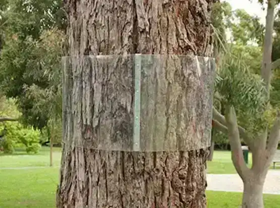 Possum Guard Tree Protector Kit