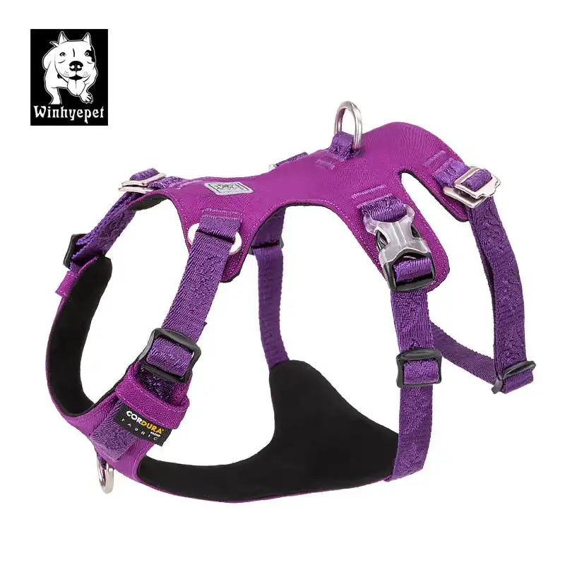 Whinhyepet Tag Harness