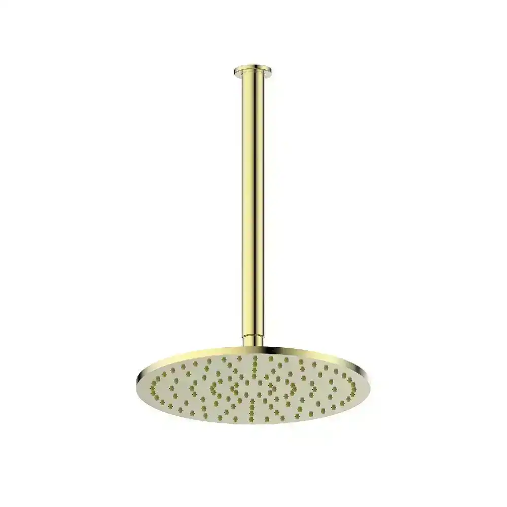 Greens Tesora Ceiling Shower Brushed Brass 2130026