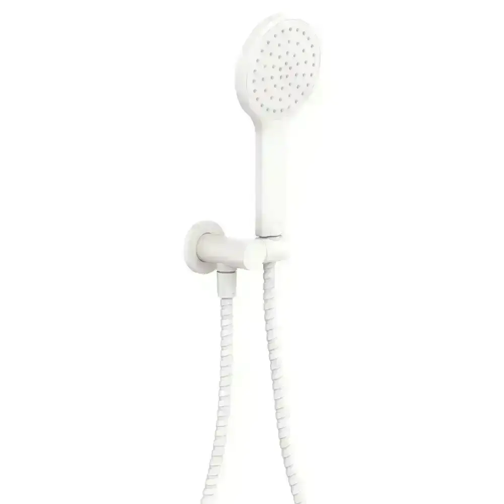 Fienza Kaya Hand Shower Matte White 433201MW