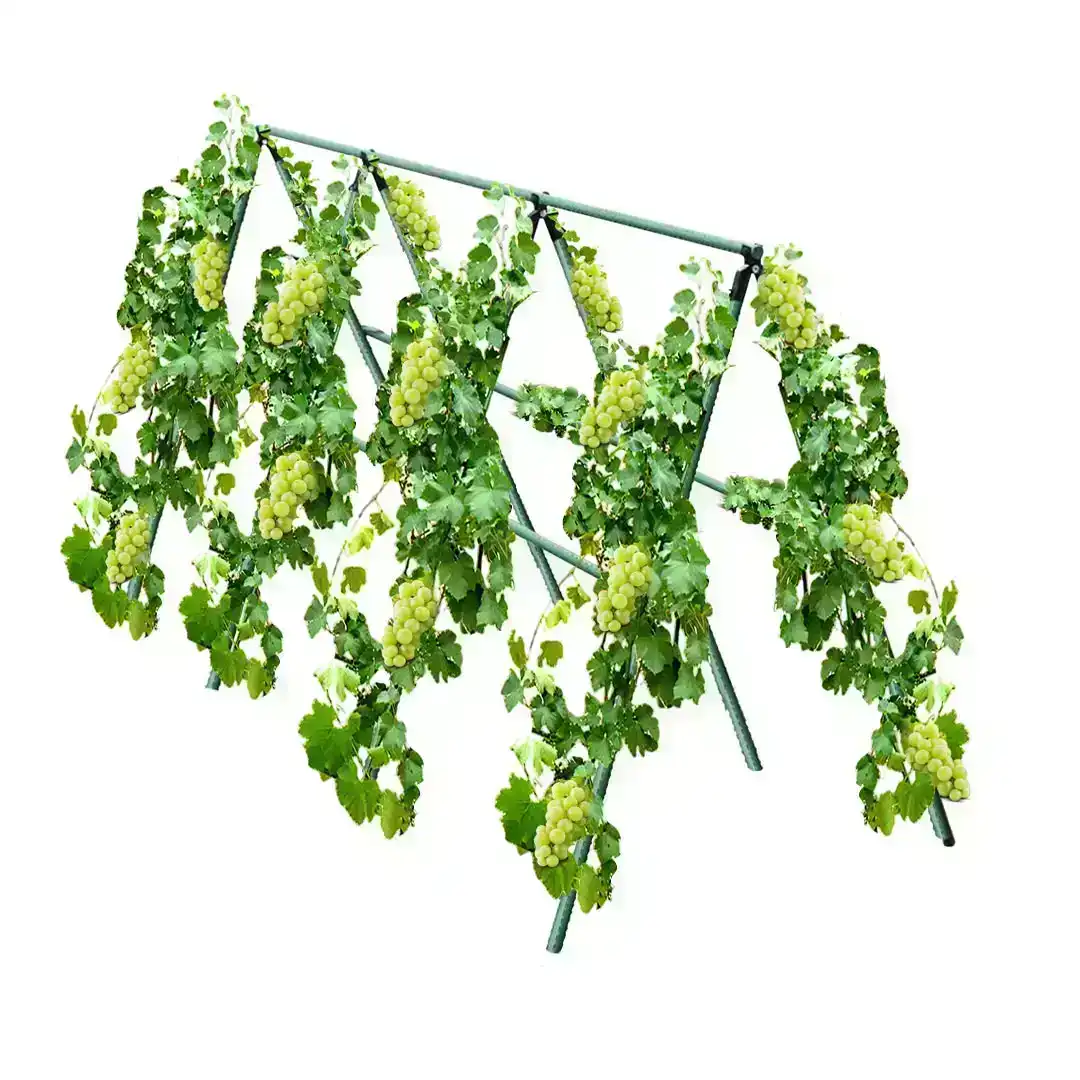 Soga 120X90cm Plant Frame Tube Trellis Vegetable Flower Herbs Outdoor Vine Support Adjustable Garden Rack