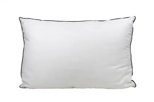 Odyssey Living Silk Blend Pillow - 800GMS