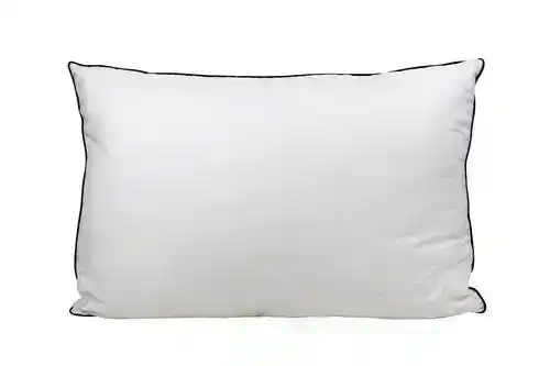 Odyysey Living Silk Blend Pillow