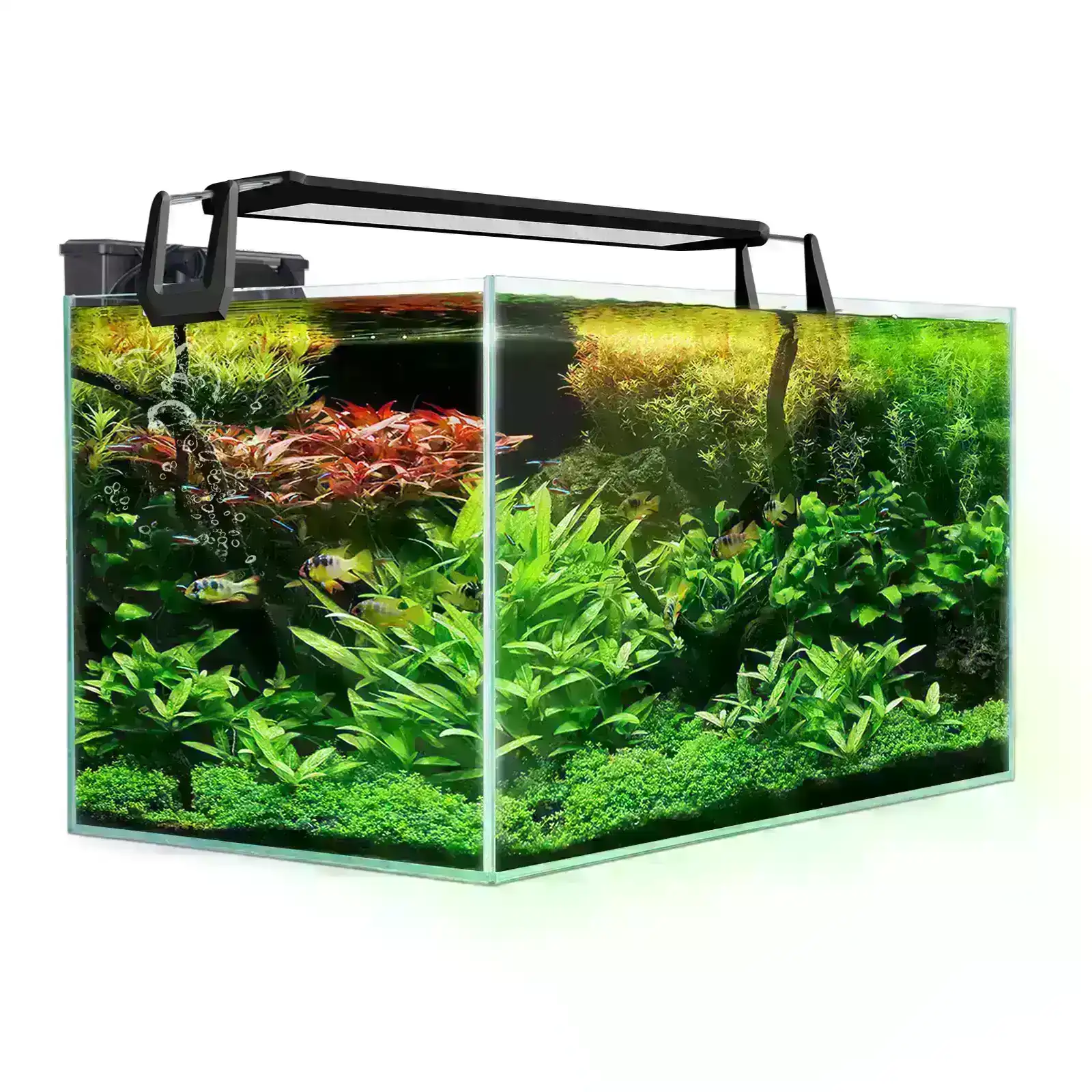 70L Starfire Glass Aquarium Fish Tank