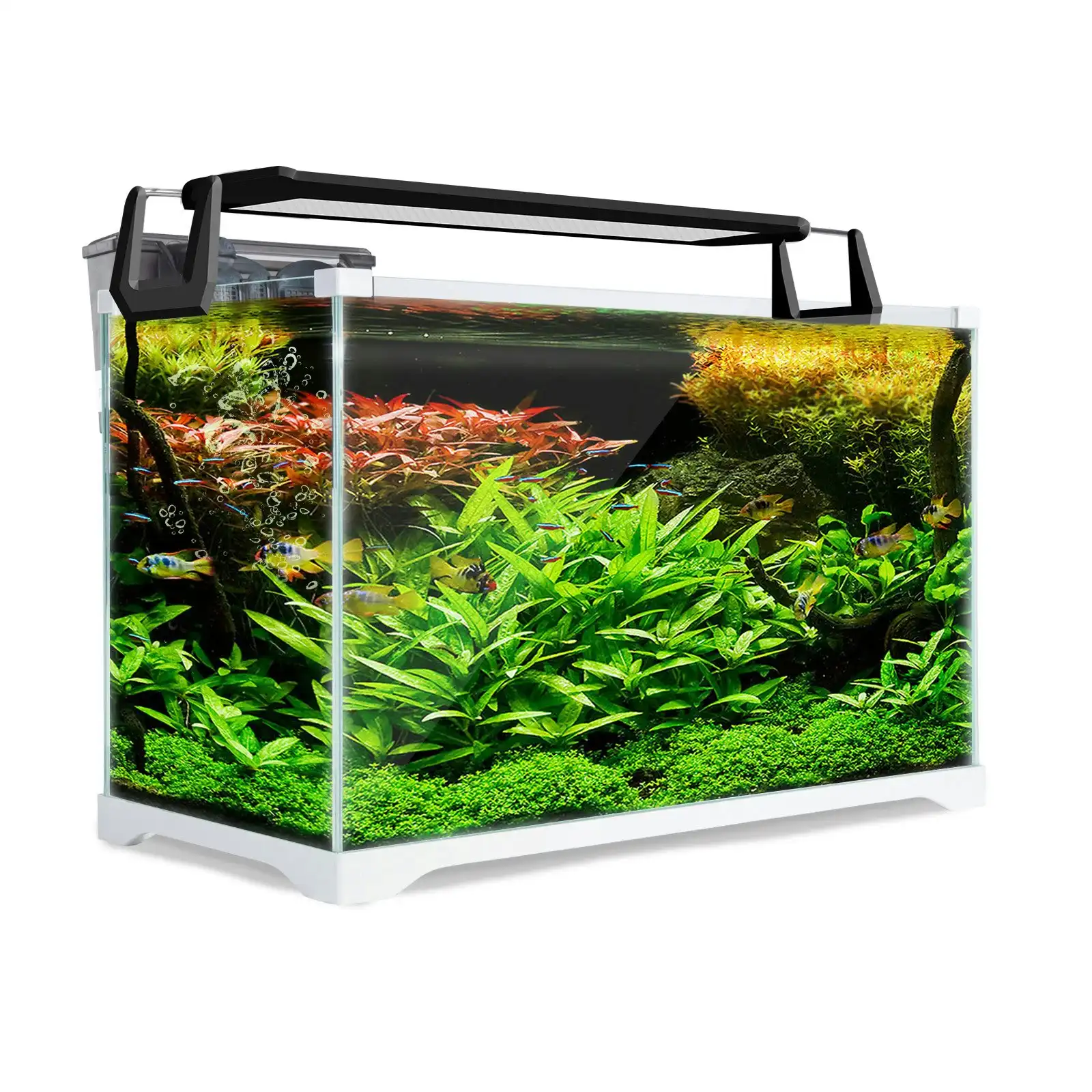 39L Starfire Glass Aquarium Fish Tank