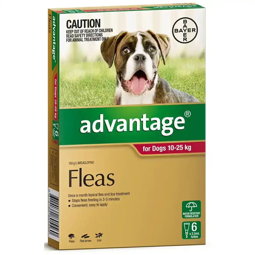 Advantage For Large Dogs (10-25kg) 6 Pack