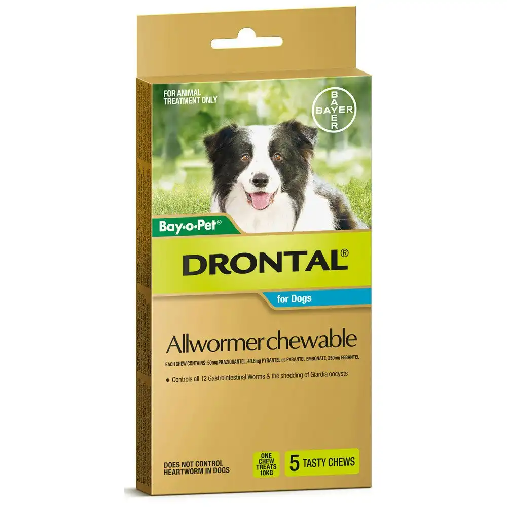 Drontal Dogs Medium 10kg Wormer Tablets 5 Pack