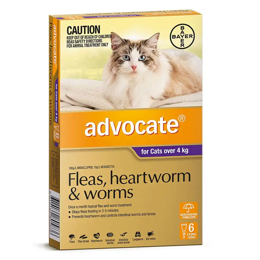 Advocate(TM) Fleas, Heartworm & Worms for Cats Over 4kg - 6 Pack