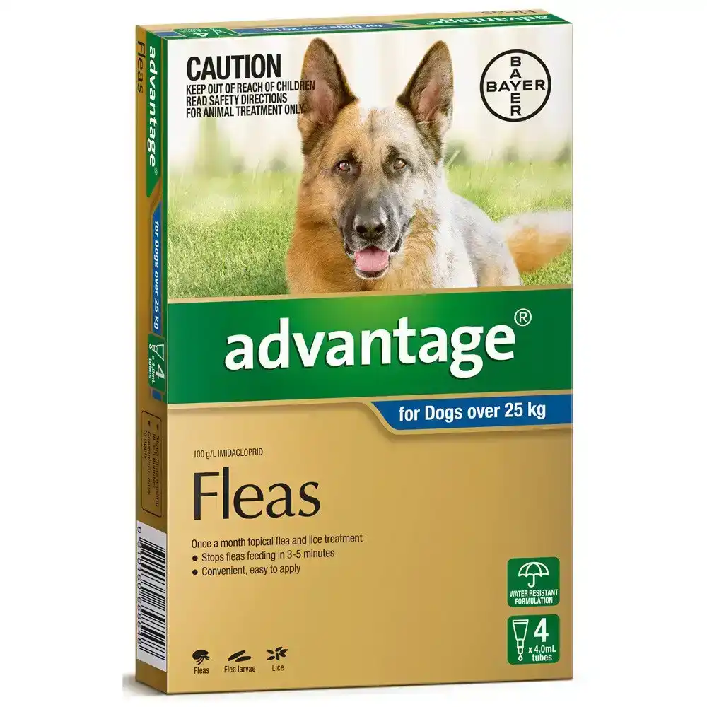 Advantage For Extra Large Dogs (over 25kg) 4 Pack